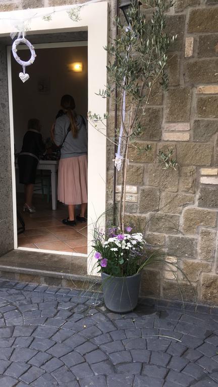 Il Poggio Degli Ulivi Apartment Trevignano Romano Exterior foto