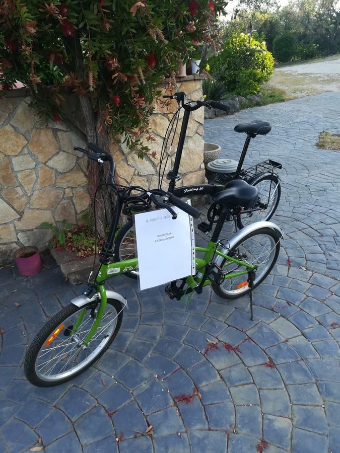 Il Poggio Degli Ulivi Apartment Trevignano Romano Exterior foto
