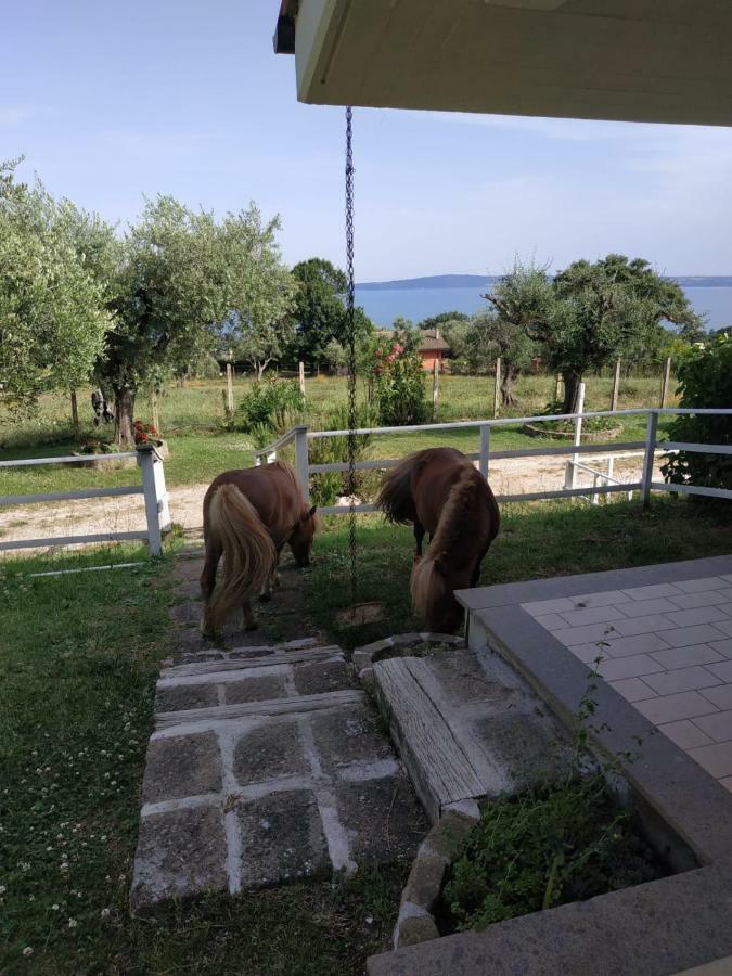 Il Poggio Degli Ulivi Apartment Trevignano Romano Exterior foto